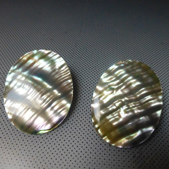 Jewelry - MOTHER OF PEARL DISK TRENDY CLIP EARRINGS
